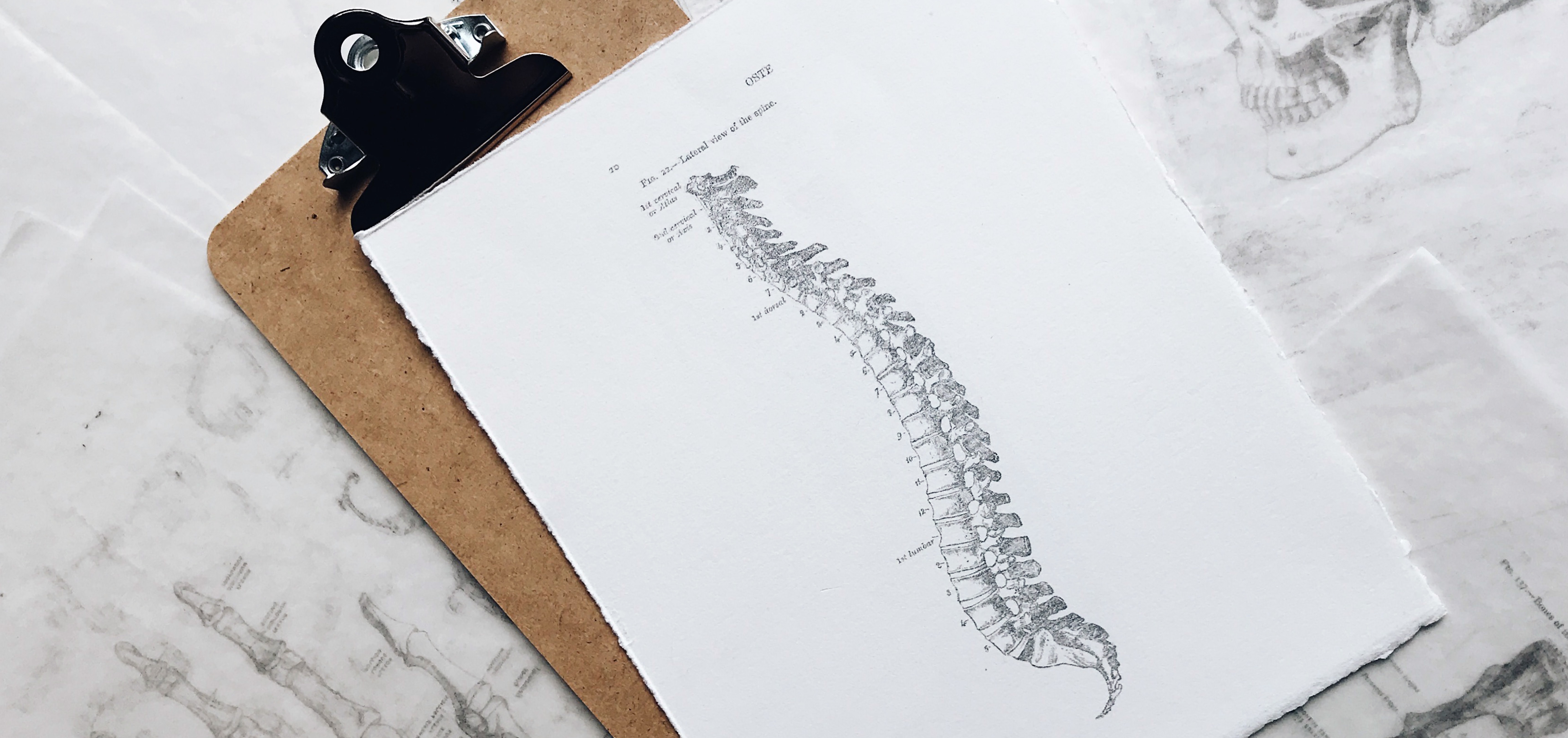 Manual de rehabilitacion de la columna vertebral/ Rehabilitation of the  Spine